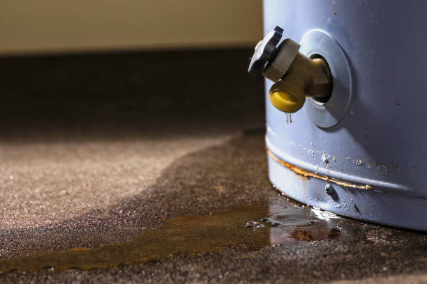 Best Water damage restoration mold remediation  in Hidalgo, TX