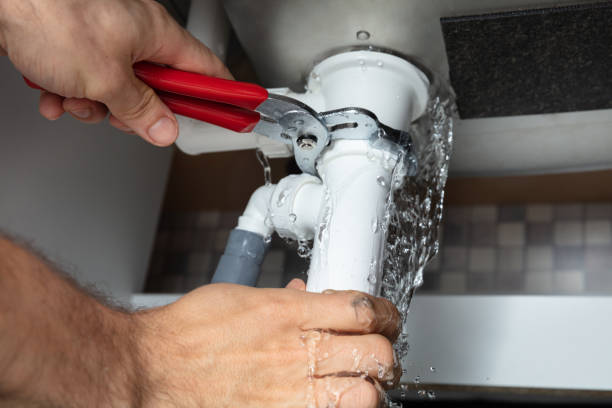 Best Basement water damage restoration  in Hidalgo, TX