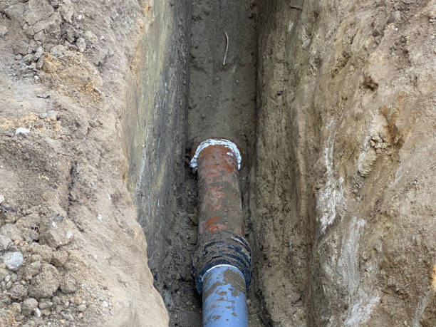 Best Sewage cleanup and water damage restoration  in Hidalgo, TX
