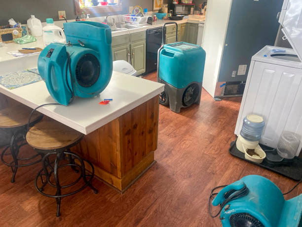 Best Flooded house restoration  in Hidalgo, TX