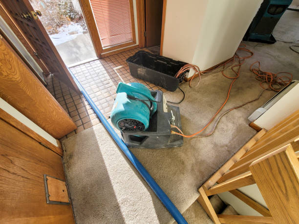 Best Emergency water damage restoration  in Hidalgo, TX