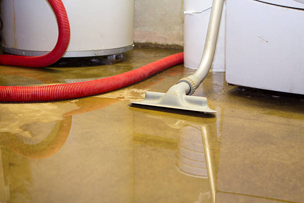 Best Flood restoration services  in Hidalgo, TX