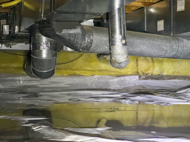 Best Carpet water damage restoration  in Hidalgo, TX