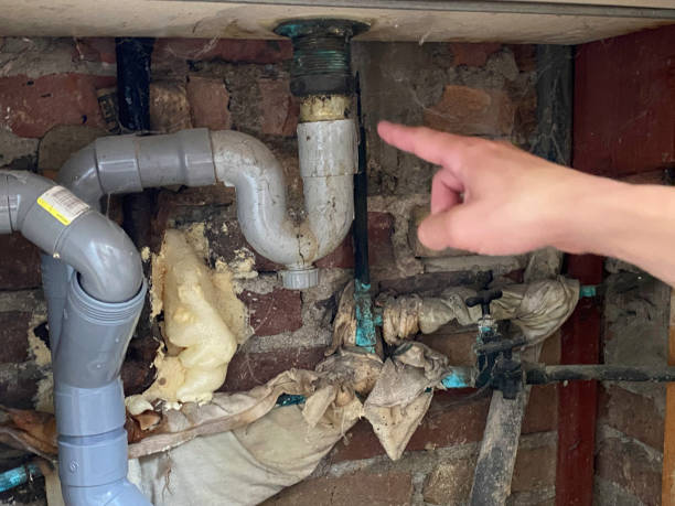 Best Flood damage cleanup  in Hidalgo, TX
