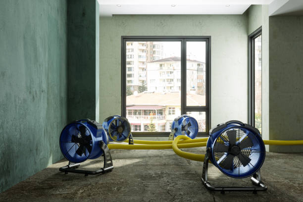 Best 24/7 water damage repair  in Hidalgo, TX
